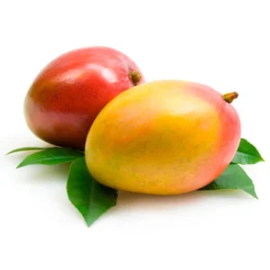 Mango fruit